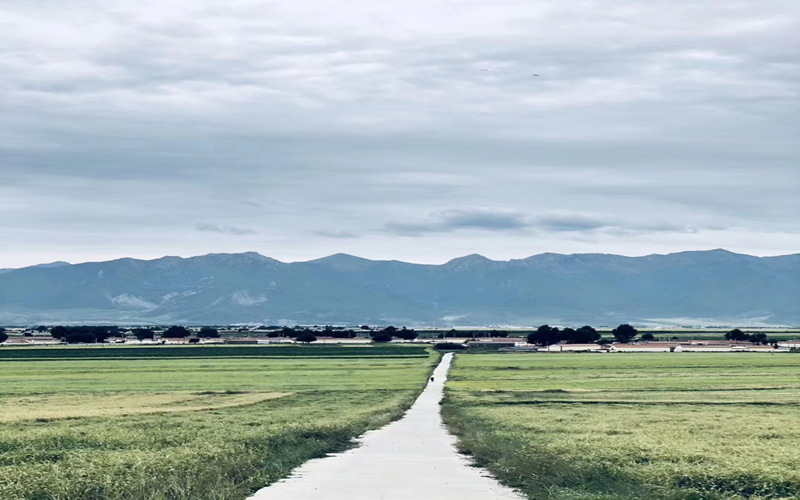 祁連山腹地美景。華旦才讓攝