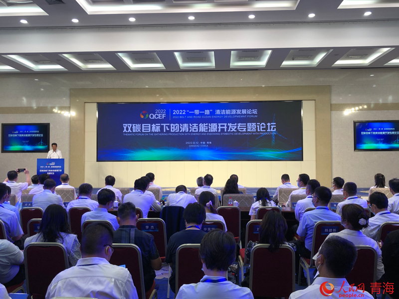 “雙碳目標下的清潔能源開發(fā)”專題論壇現(xiàn)場。人民網(wǎng) 劉沛然攝