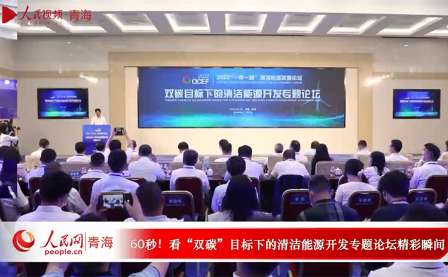 60秒！看“雙碳”目標(biāo)下的清潔能源開發(fā)專題論壇精彩瞬間