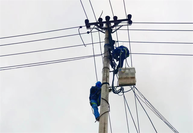 服務隊隊員排查電力隱患。國網青海黃化供電公司供圖