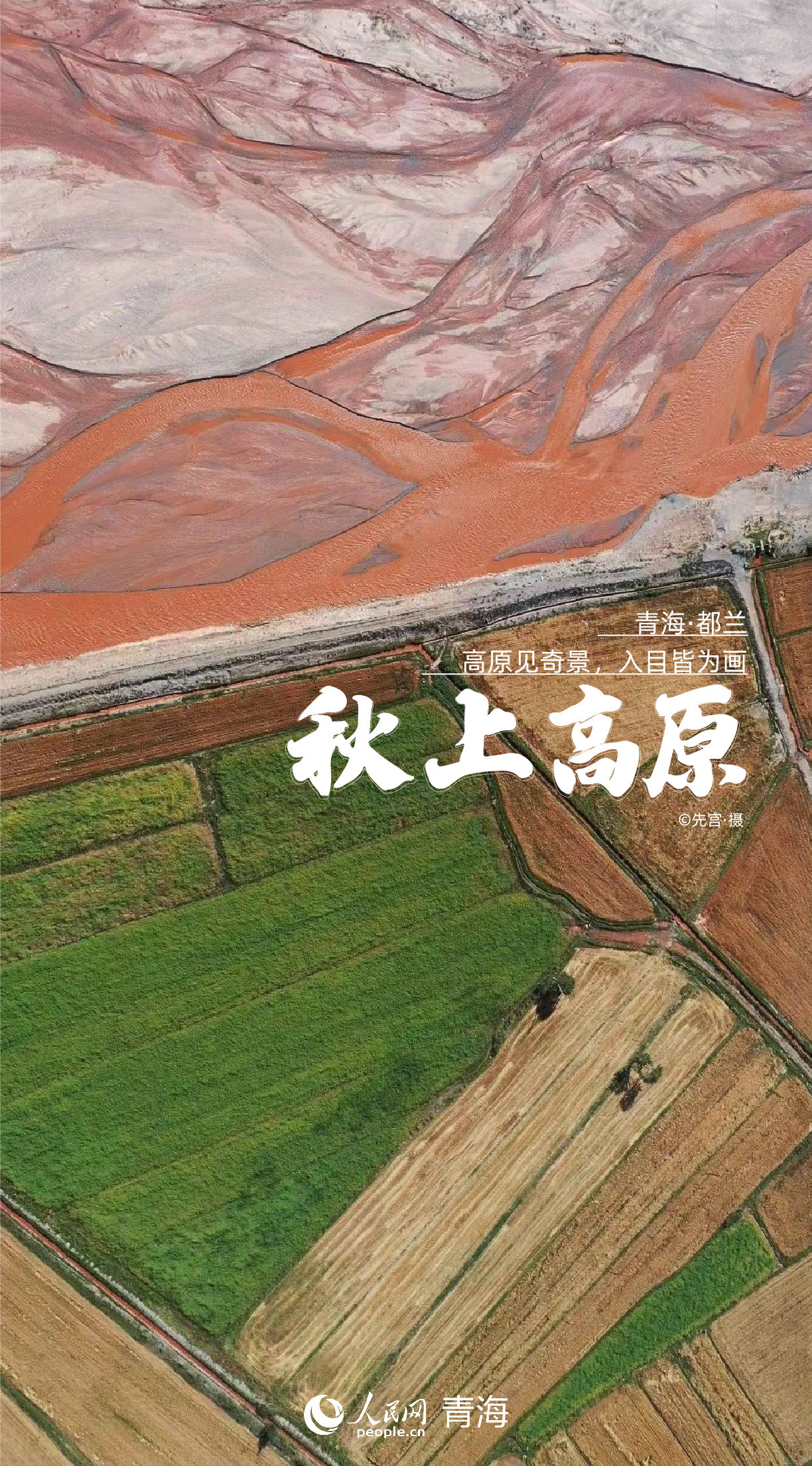 高清海報|青海這份“秋日限定”太美