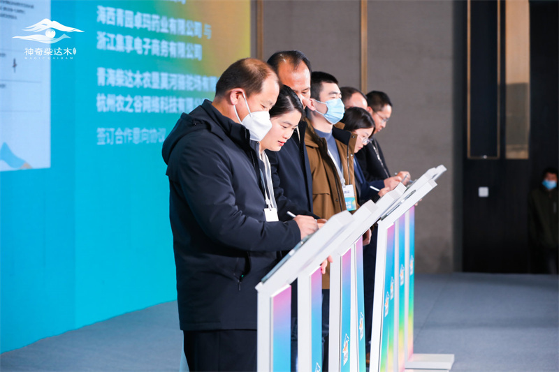 會(huì)議現(xiàn)場(chǎng)。海西州委宣傳部供圖