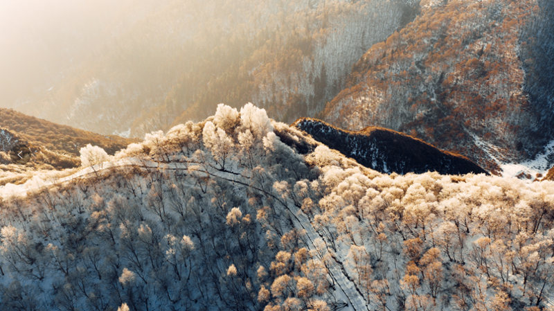 “林海雪原”卡陽(yáng)。西寧市文化旅游廣電局供圖
