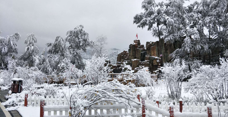 “林海雪原”卡陽(yáng)。西寧市文化旅游廣電局供圖