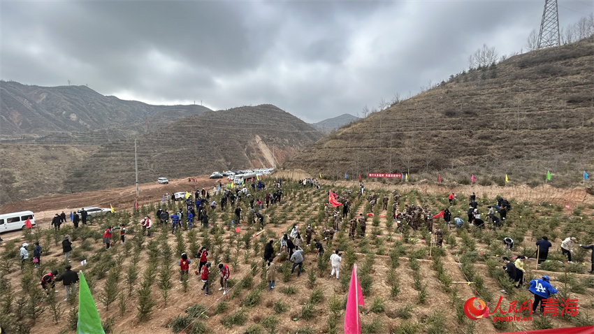 植樹(shù)現(xiàn)場(chǎng)。人民網(wǎng) 陳明菊攝