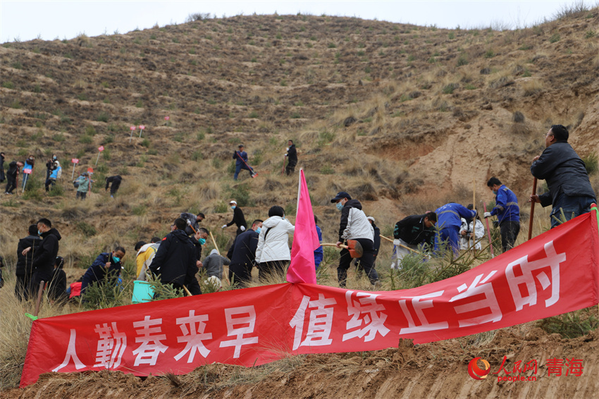 植樹(shù)現(xiàn)場(chǎng)。人民網(wǎng) 陳明菊攝