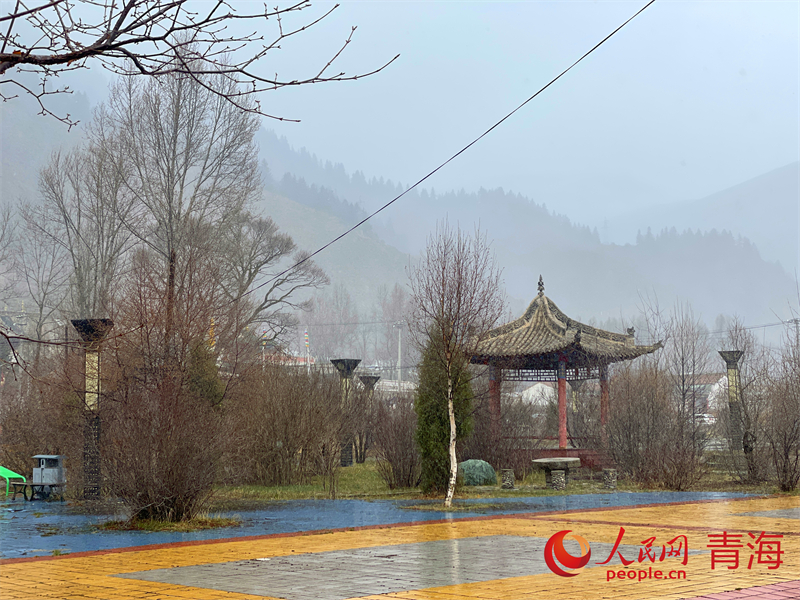 雪后的大莊村街道。人民網(wǎng) 況玉攝