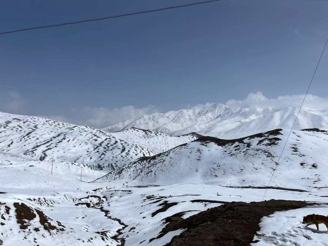 拉脊山完全被大雪覆蓋。