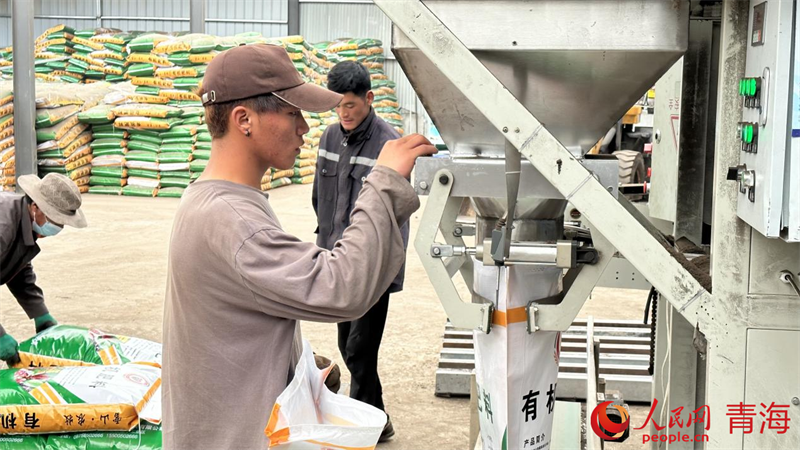 甘德當(dāng)?shù)貑T工在雪山農(nóng)牧業(yè)科技發(fā)展有限公司有機(jī)肥生產(chǎn)車間里進(jìn)行包裝作業(yè)。人民網(wǎng) 劉沛然攝