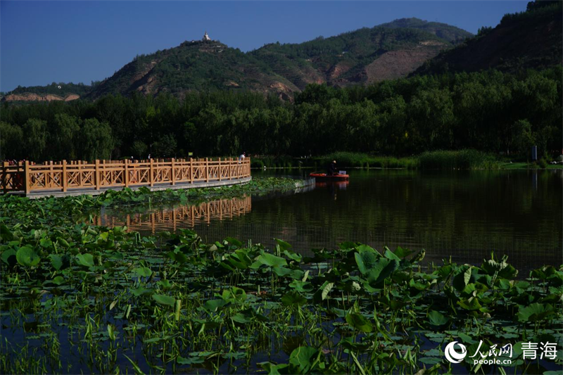 北山美麗園。人民網(wǎng) 況玉攝