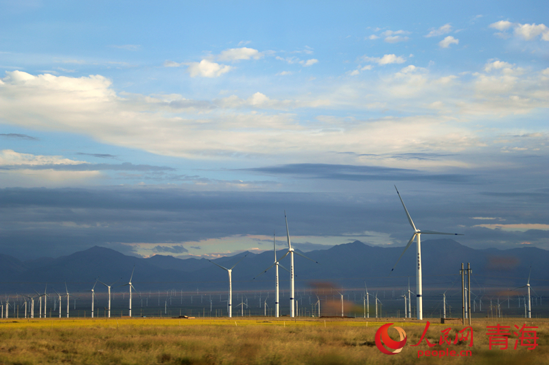 青海省海南藏族自治州境內，成百上千的大型風力發(fā)電機隨風旋轉，生產綠電。 人民網記者 楊啟紅攝
