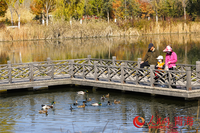 西寧市民在湟水濕地公園。人民網(wǎng)記者 甘海瓊攝