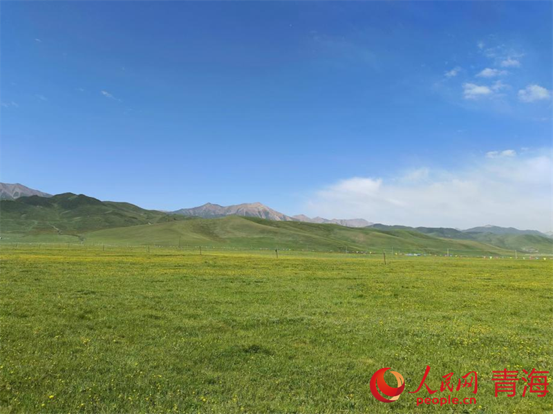 海北風(fēng)光。人民網(wǎng)記者 張莉萍攝