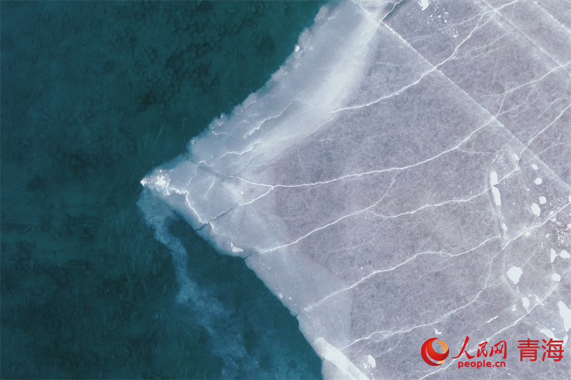 冬日青海湖 碎冰漂浮在湖面。人民網(wǎng) 況玉攝