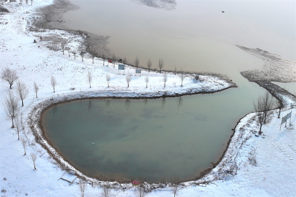 雪落黃河岸畔。李玉峰攝