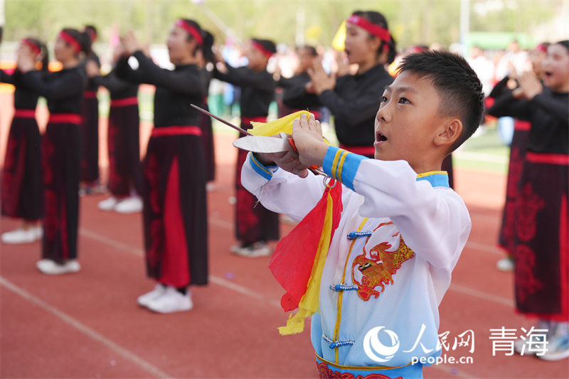 開(kāi)幕式上的武術(shù)表演。人民網(wǎng)記者 張莉萍攝
