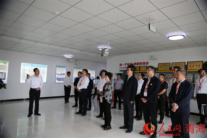 與會嘉賓了解海南州清潔能源產(chǎn)業(yè)發(fā)展情況。人民網(wǎng) 馬可欣攝