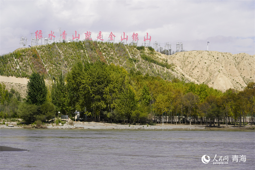“天下黃河貴德清”。人民網(wǎng) 陳明菊攝