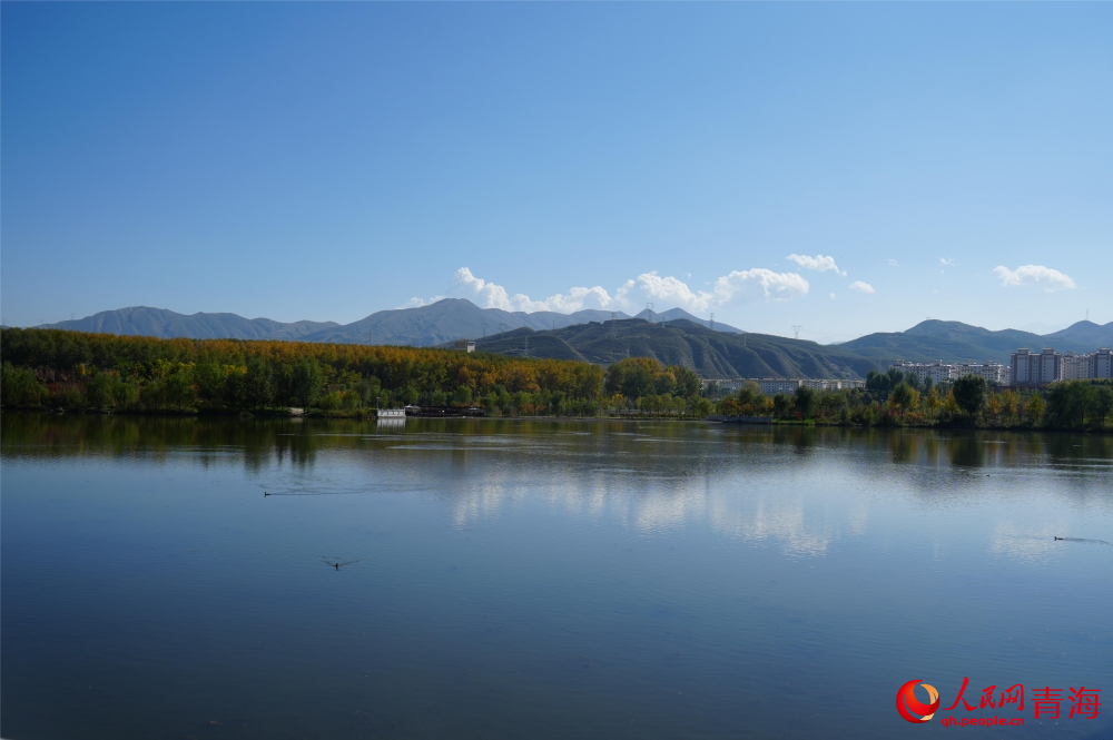 三河濕地公園秋韻濃。人民網(wǎng) 陳明菊攝