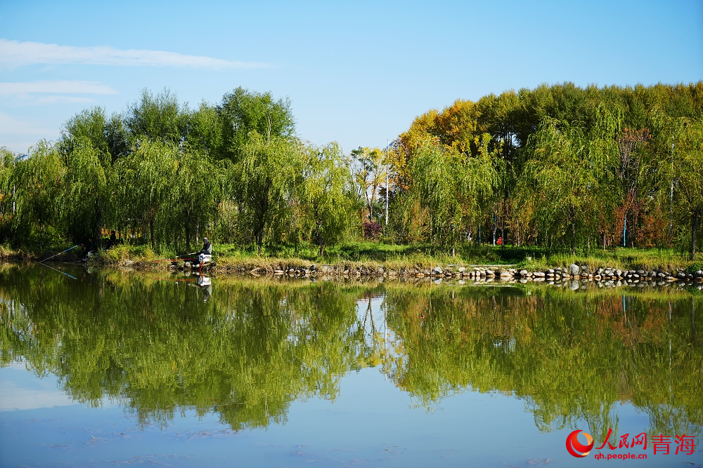 三河濕地公園秋韻濃。人民網(wǎng) 陳明菊攝