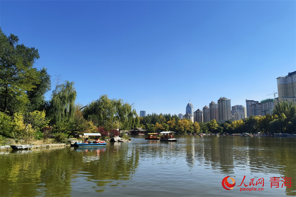 西寧市人民公園秋景如畫。人民網(wǎng) 馬可欣攝