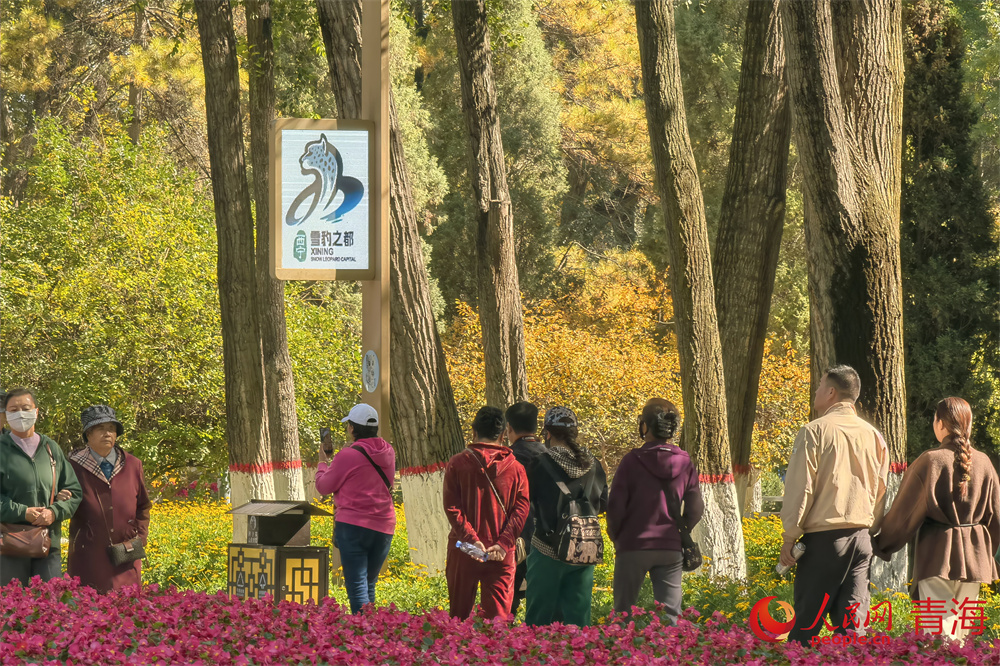市民行走在公園如畫(huà)秋景中。人民網(wǎng) 馬可欣攝