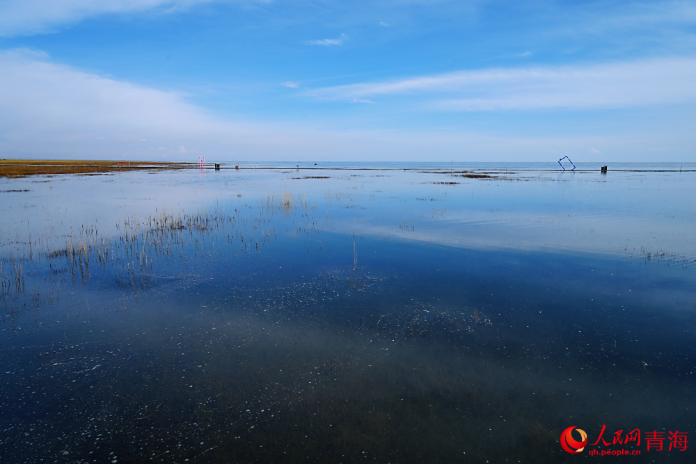 青海湖北岸風(fēng)光。人民網(wǎng) 陳明菊攝