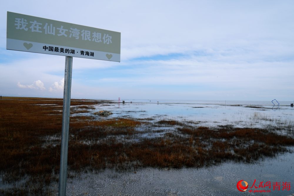 仙女灣秋色。人民網(wǎng) 陳明菊攝