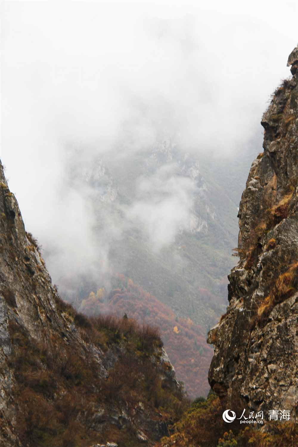祁連山下滿(mǎn)目秋。人民網(wǎng)記者 張莉萍攝