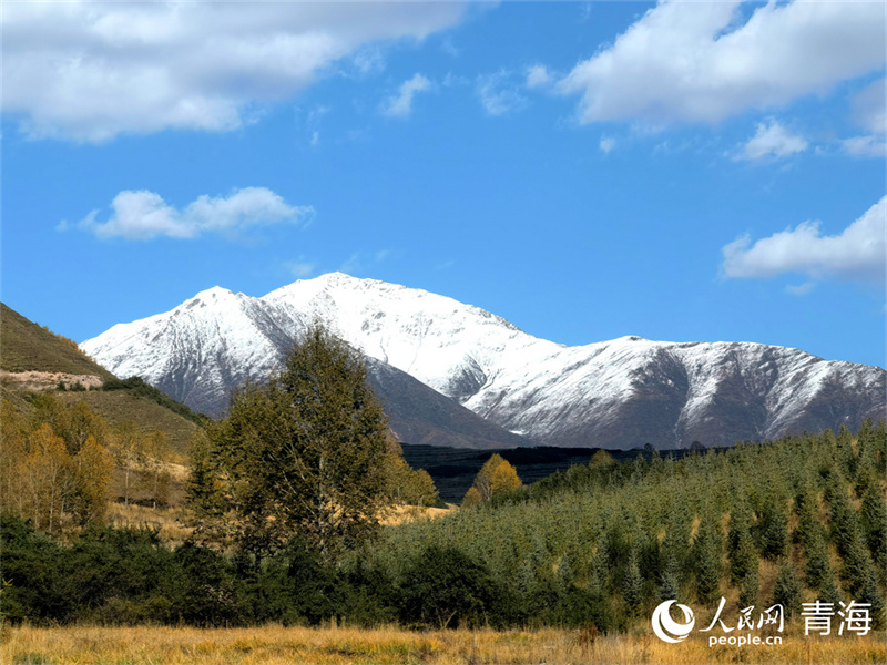 藍(lán)天白云，雪山重疊，大通縣東峽鎮(zhèn)秋景美如畫。人民網(wǎng) 馬可欣攝