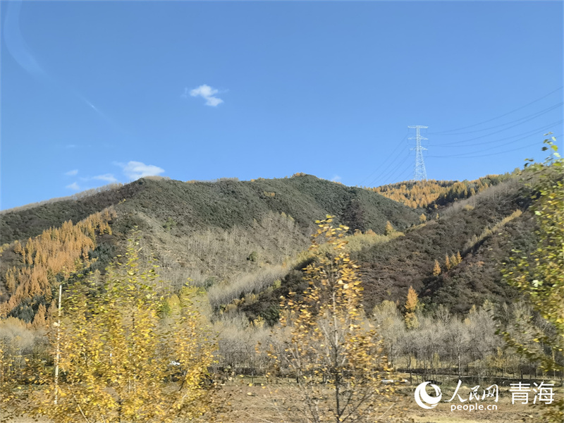 大通縣東峽鎮(zhèn)的絢爛秋景。人民網(wǎng) 馬可欣攝