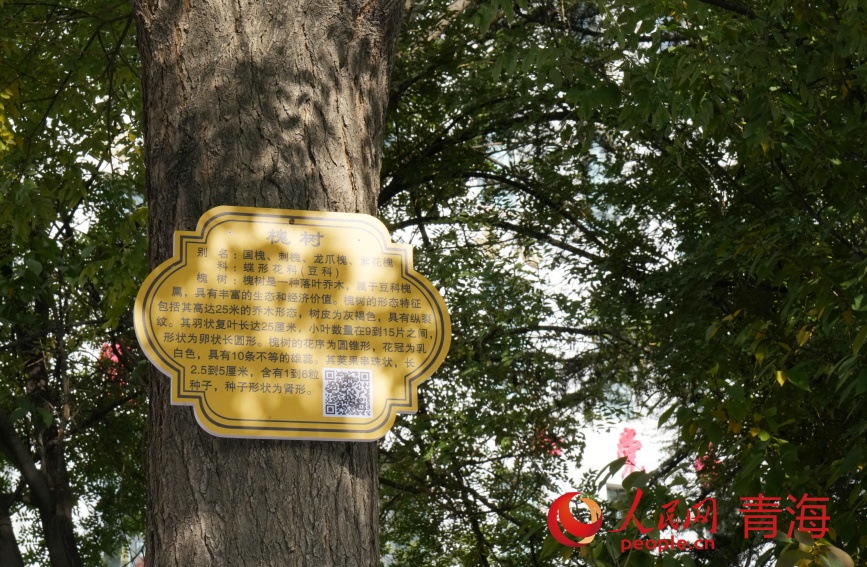 校園內(nèi)的科普知識(shí)。人民網(wǎng)記者 甘海瓊攝