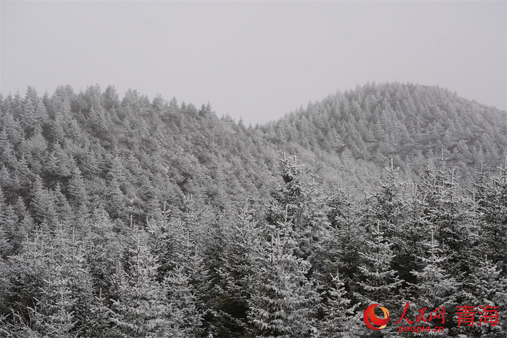 大雪過后，青沙山一片晶瑩潔白。人民網(wǎng) 馬可欣攝