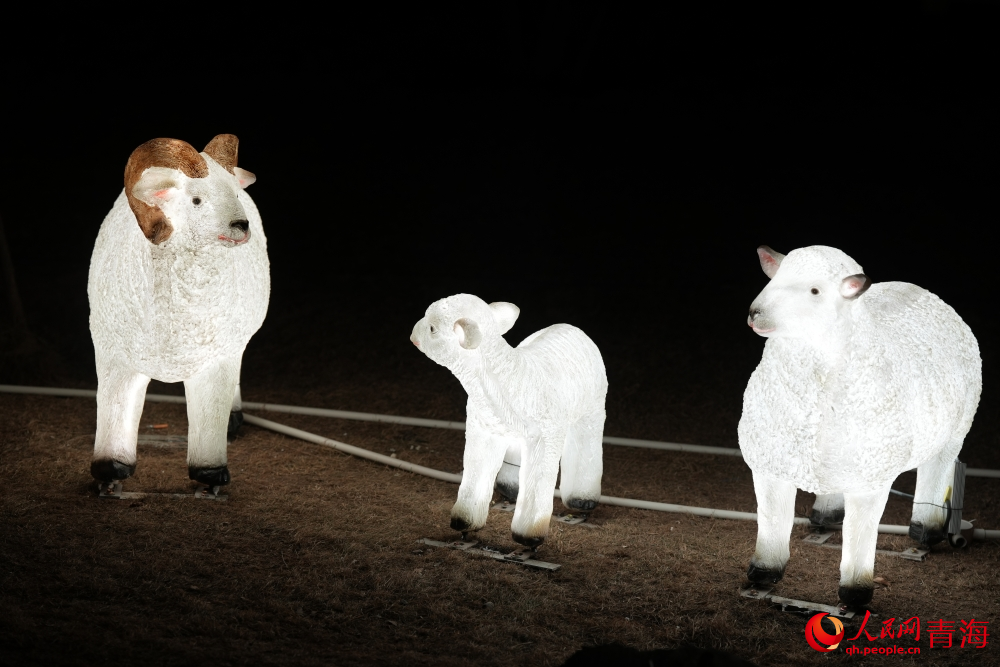 夜游麒麟灣。人民網(wǎng) 陳明菊攝