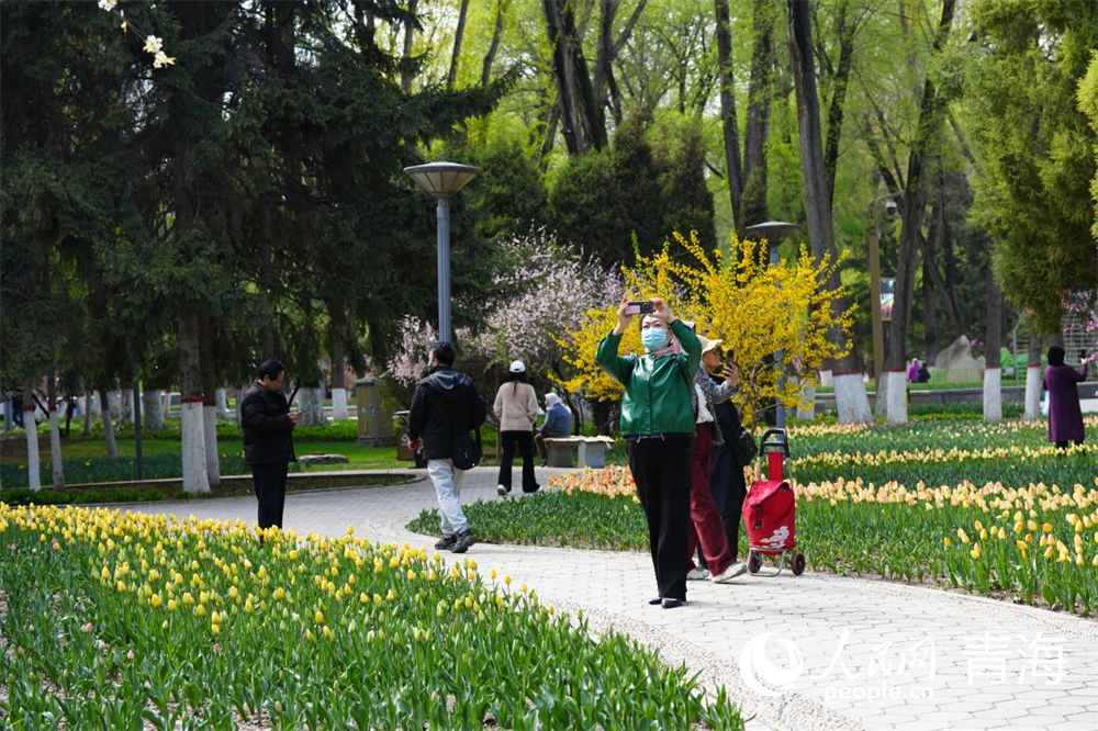 市民在公園內(nèi)記錄美景。人民網(wǎng) 馬可欣攝