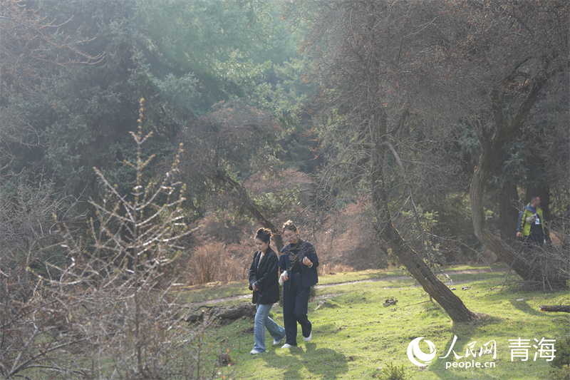 游客在鷂子溝國家森林公園。人民網(wǎng) 馬可欣攝