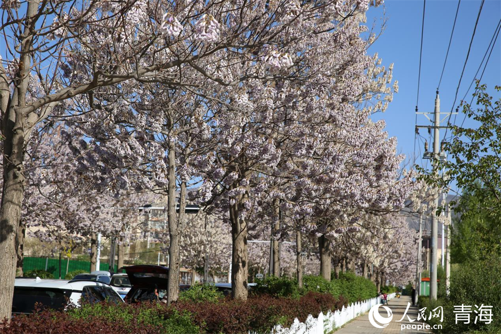 濱河公園美景。人民網(wǎng) 馬可欣攝