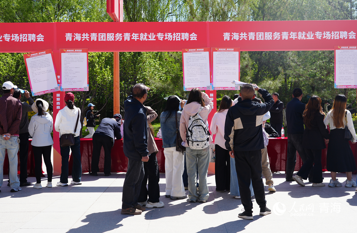 求職者了解崗位信息。人民網(wǎng)記者 楊啟紅攝