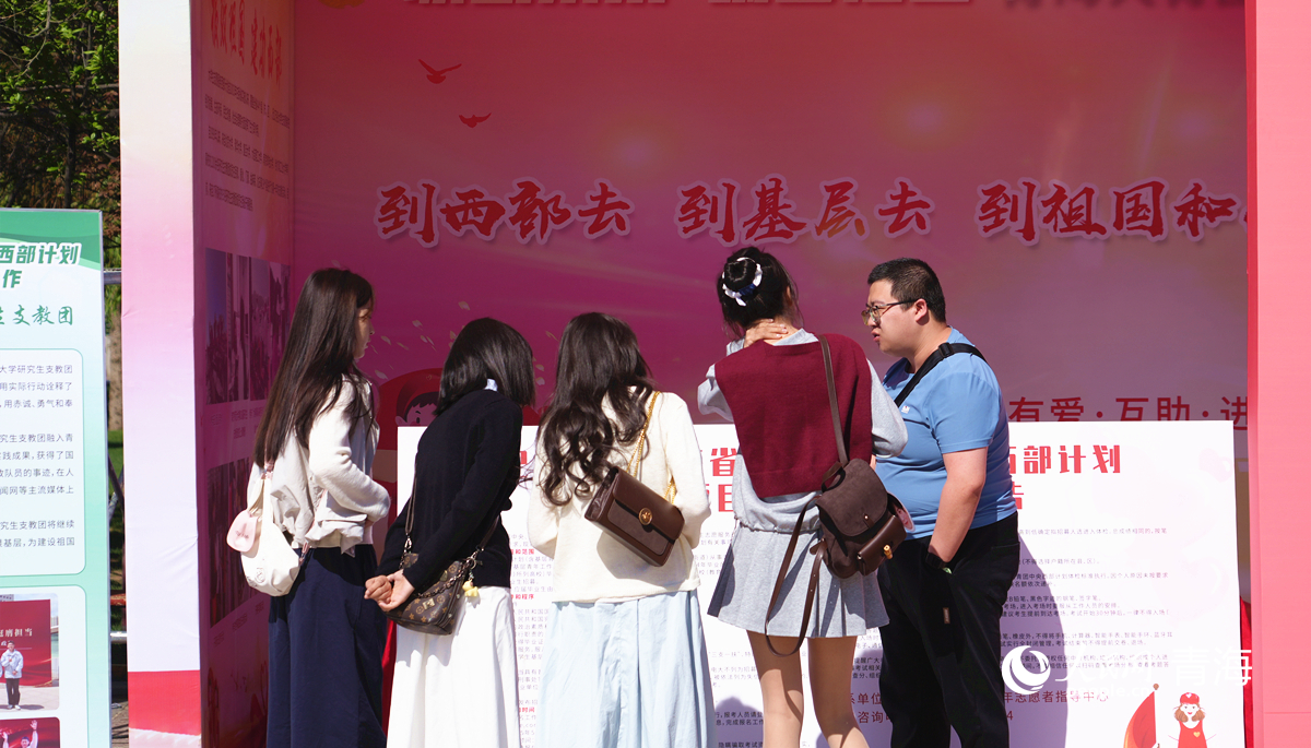 求職者了解大學(xué)生志愿服務(wù)西部計(jì)劃。人民網(wǎng)記者 楊啟紅攝