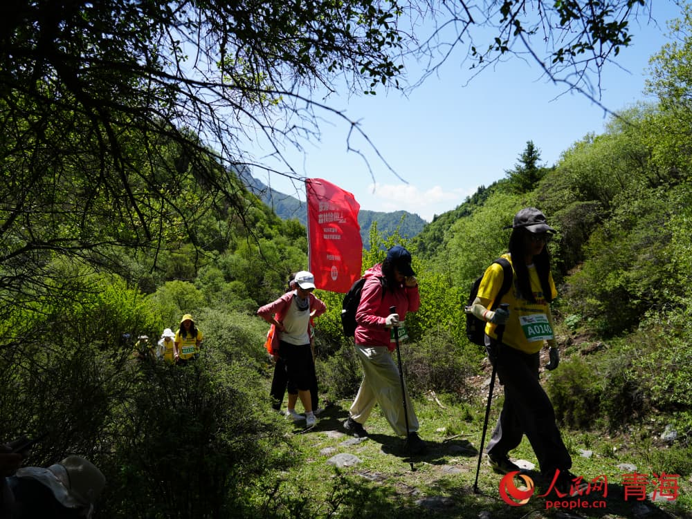 比賽現(xiàn)場(chǎng)。人民網(wǎng) 況玉攝