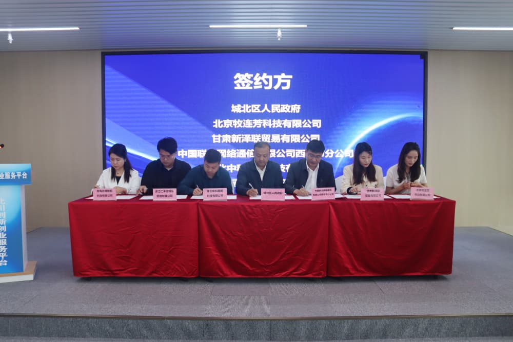 集中簽約。城北區(qū)委宣傳部供圖