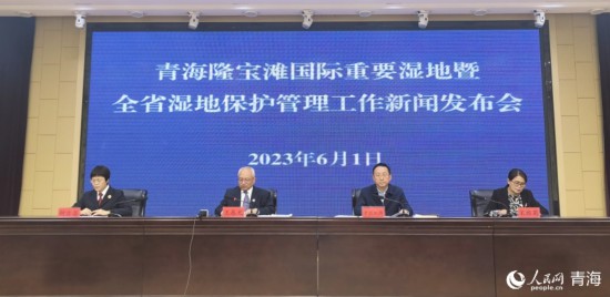 發(fā)布會現(xiàn)場。人民網(wǎng) 馬可欣攝