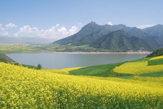 南門峽水庫花海?；ブh委宣傳部供圖